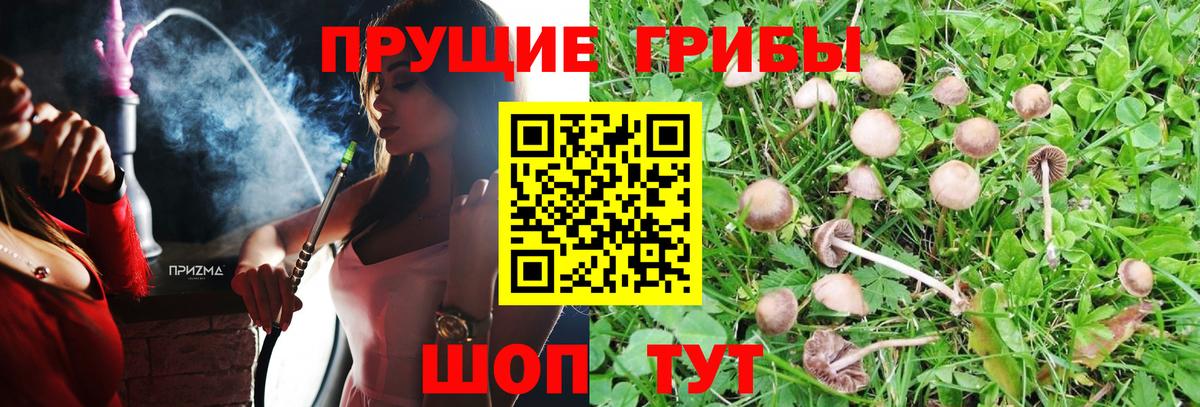 Псилоцибиновые грибы Magic Shrooms Карталы