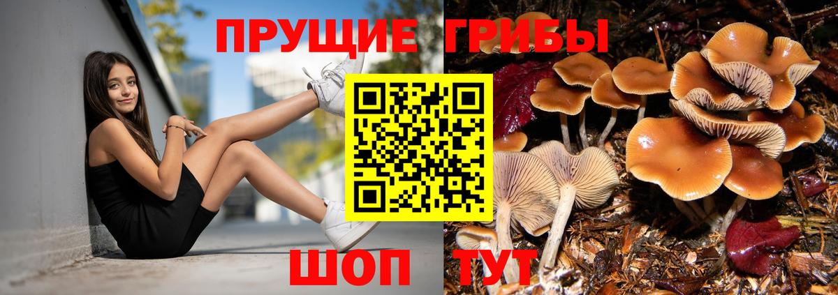 Карталы  Псилоцибиновые грибы Magic Shrooms  Вход с VPN 